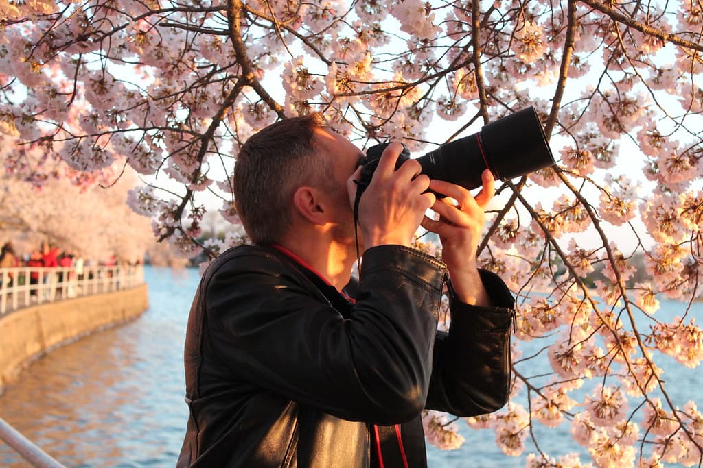 Photographers with tripods along the Tidal Basin walkway at sunrise under cherry blossoms in soft pink light