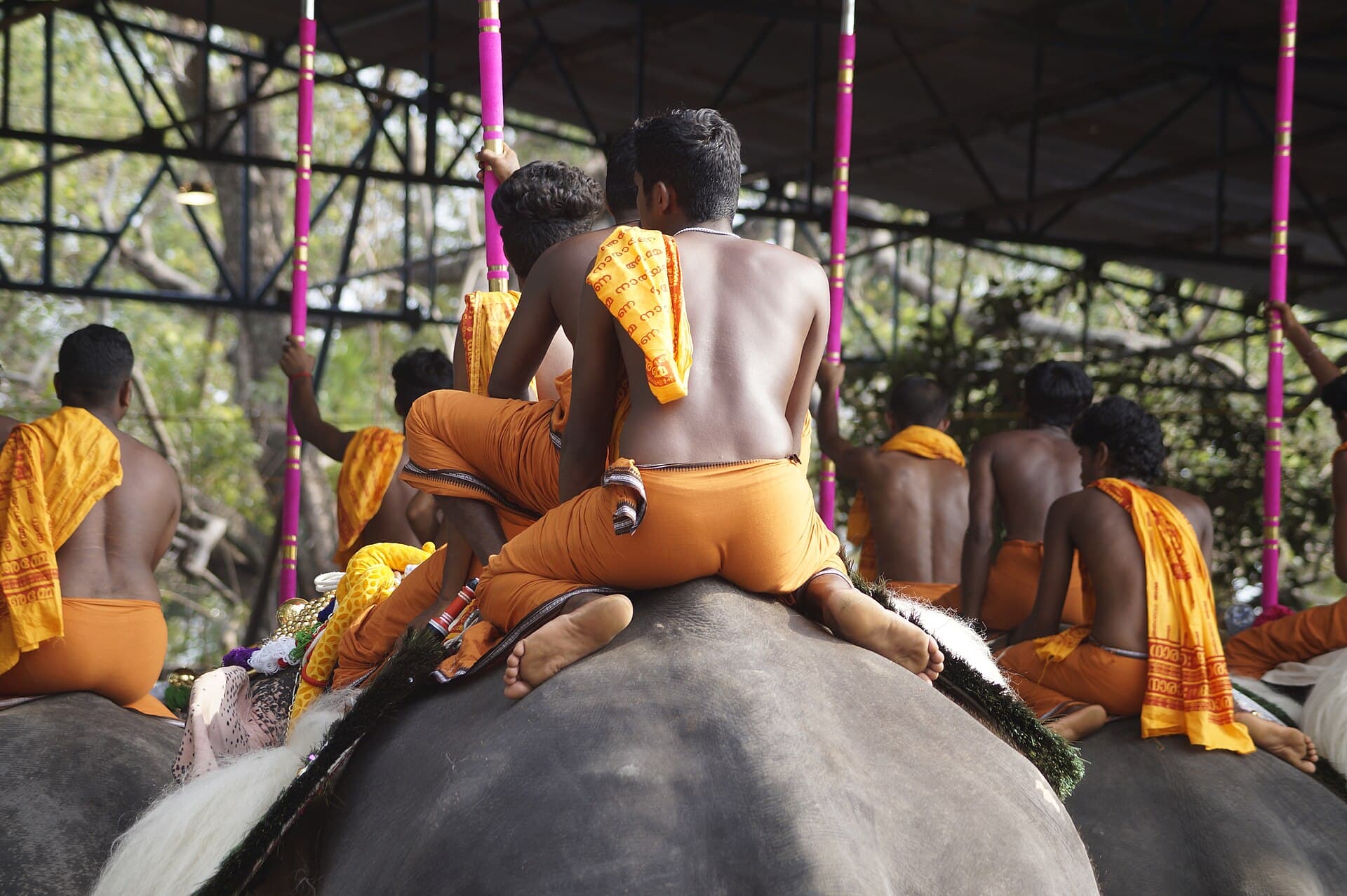 Close-up of coloured sequined parasols raised on elephants during the parasol exchange
