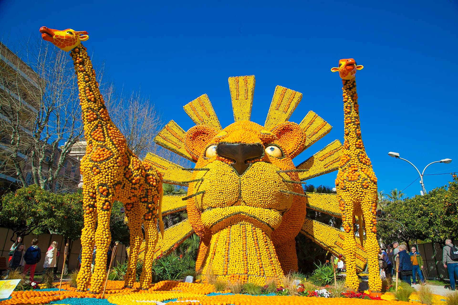 Wide shot of a giant lemon and orange sculpture in the Jardins Biovès in Menton during the Fête du Citron, landscape