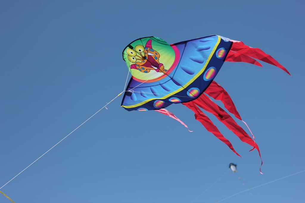 Kites flying over the Washington Monument grounds during the Blossom Kite Festival with crowds on the grass