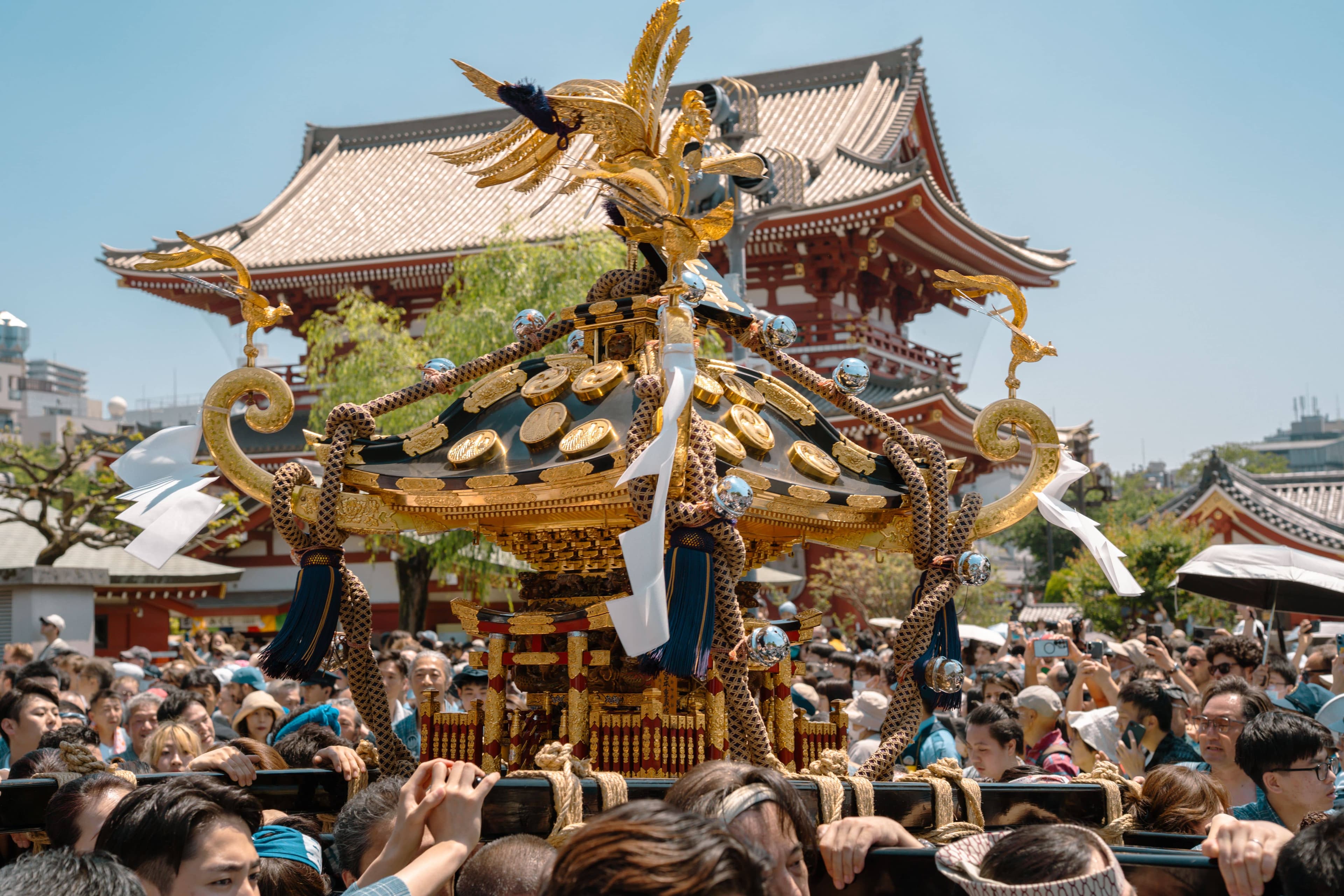 A crowd of festival carriers in matching happi coats hoisting a large golden mikoshi in front of the Hozomon gate at Senso-ji during Sanja Matsuri