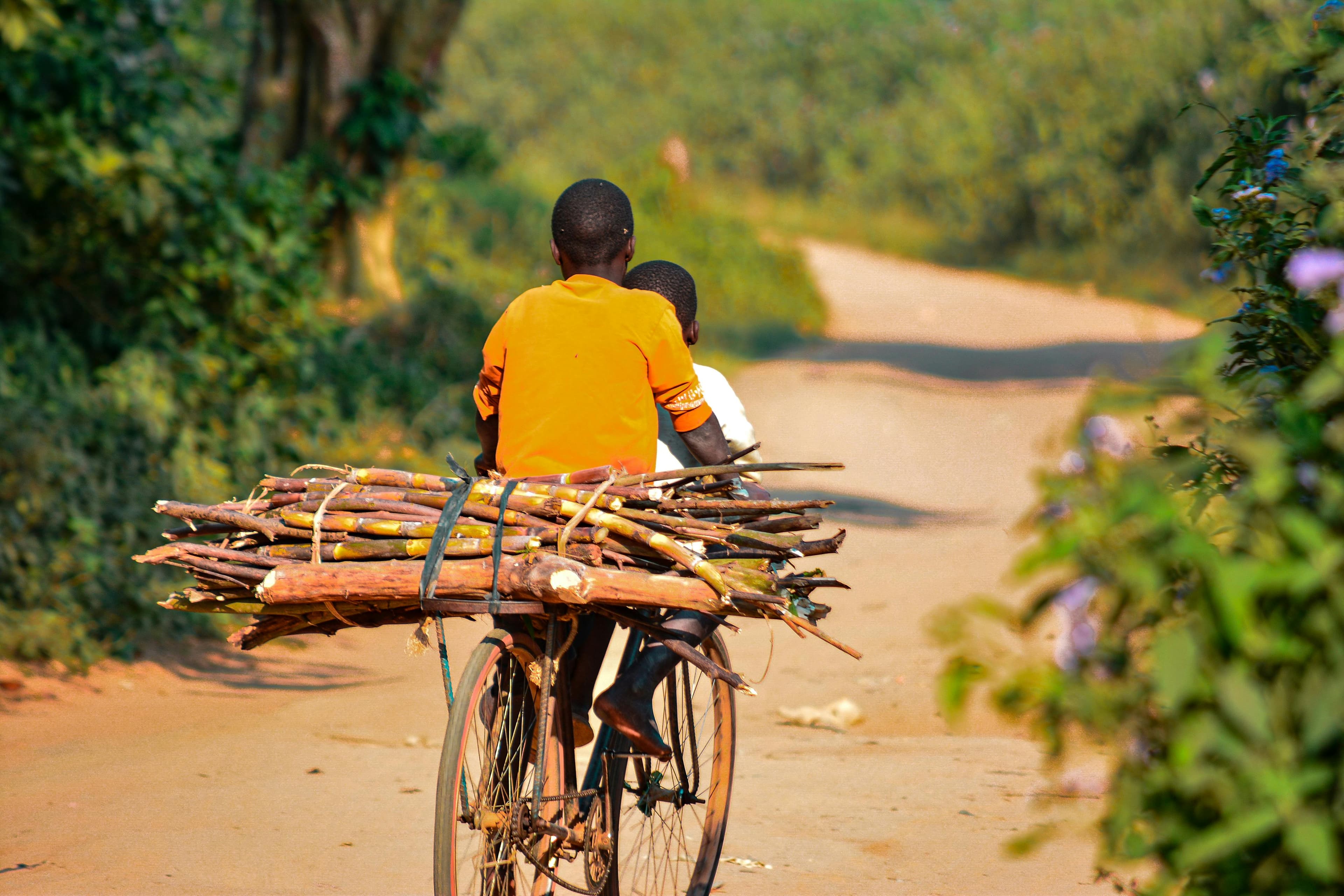 Wild, Affordable, Uncrowded: The Best Places to Visit in Uganda