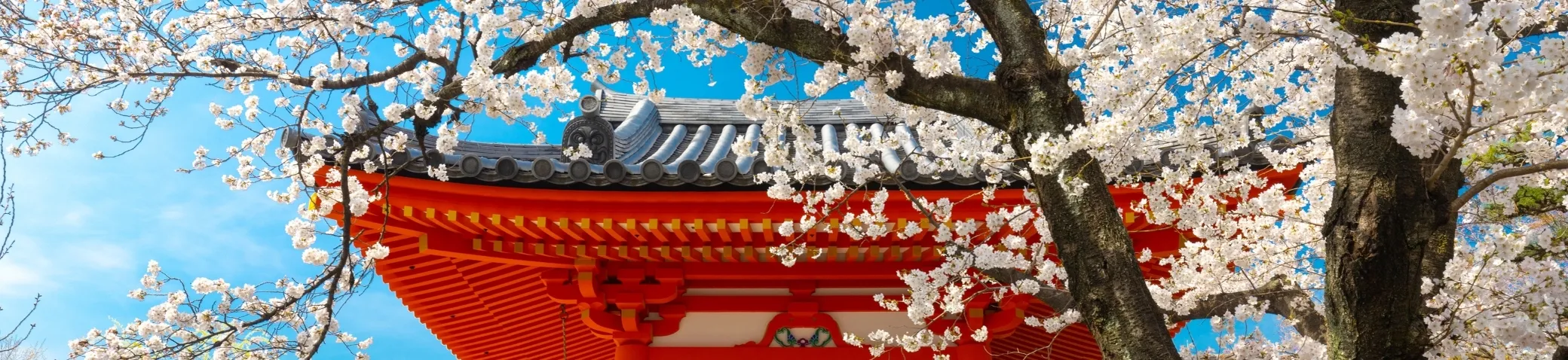 eSIM for Japan – Gohub Japan banner